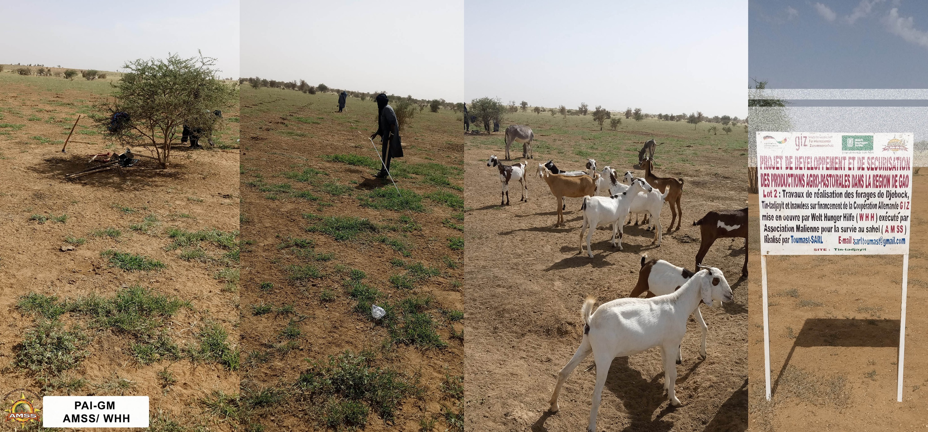 AMSS - Association Malienne pour la Survie au Sahel
