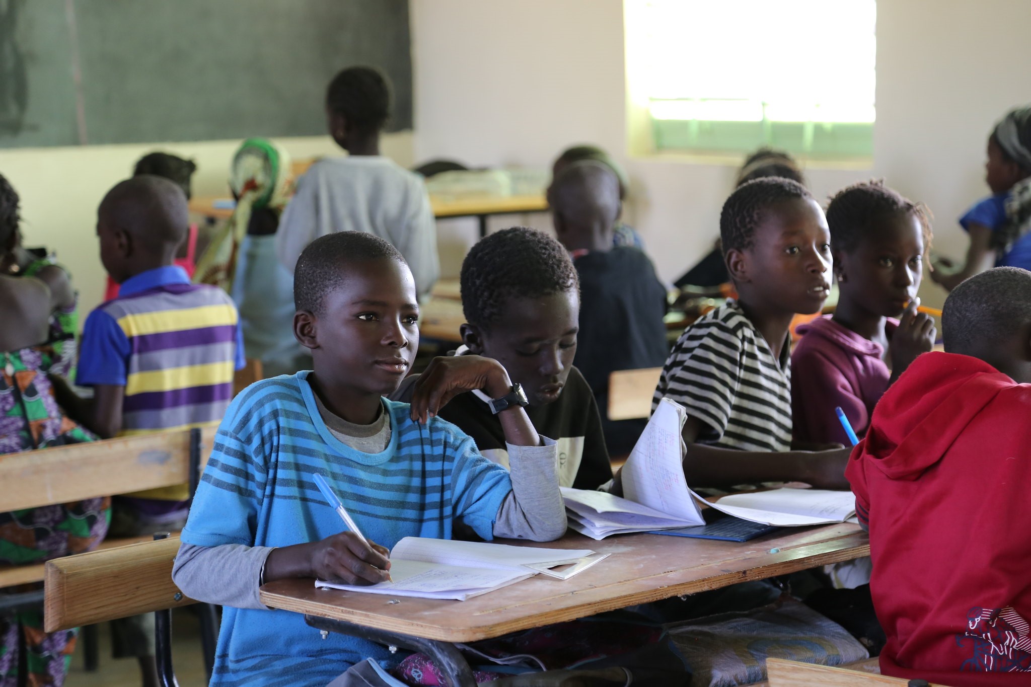 AMSS - Association Malienne pour la Survie au Sahel